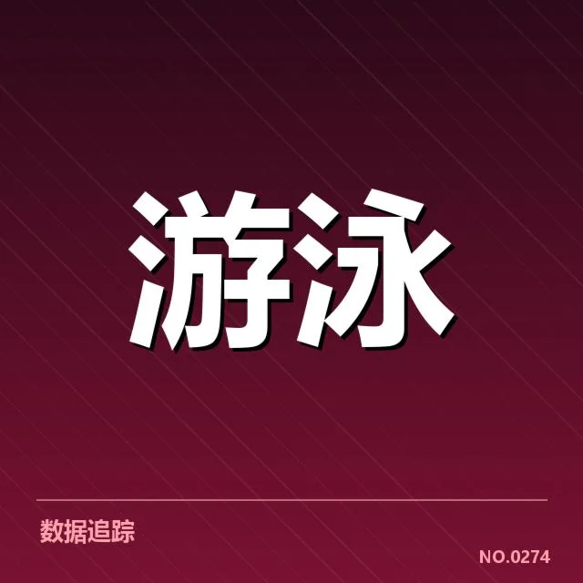 实力确认：主力队伍的成绩与表现