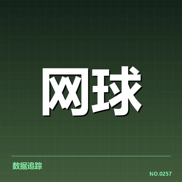 李娜奥运公益活动：她的社会责任感几何